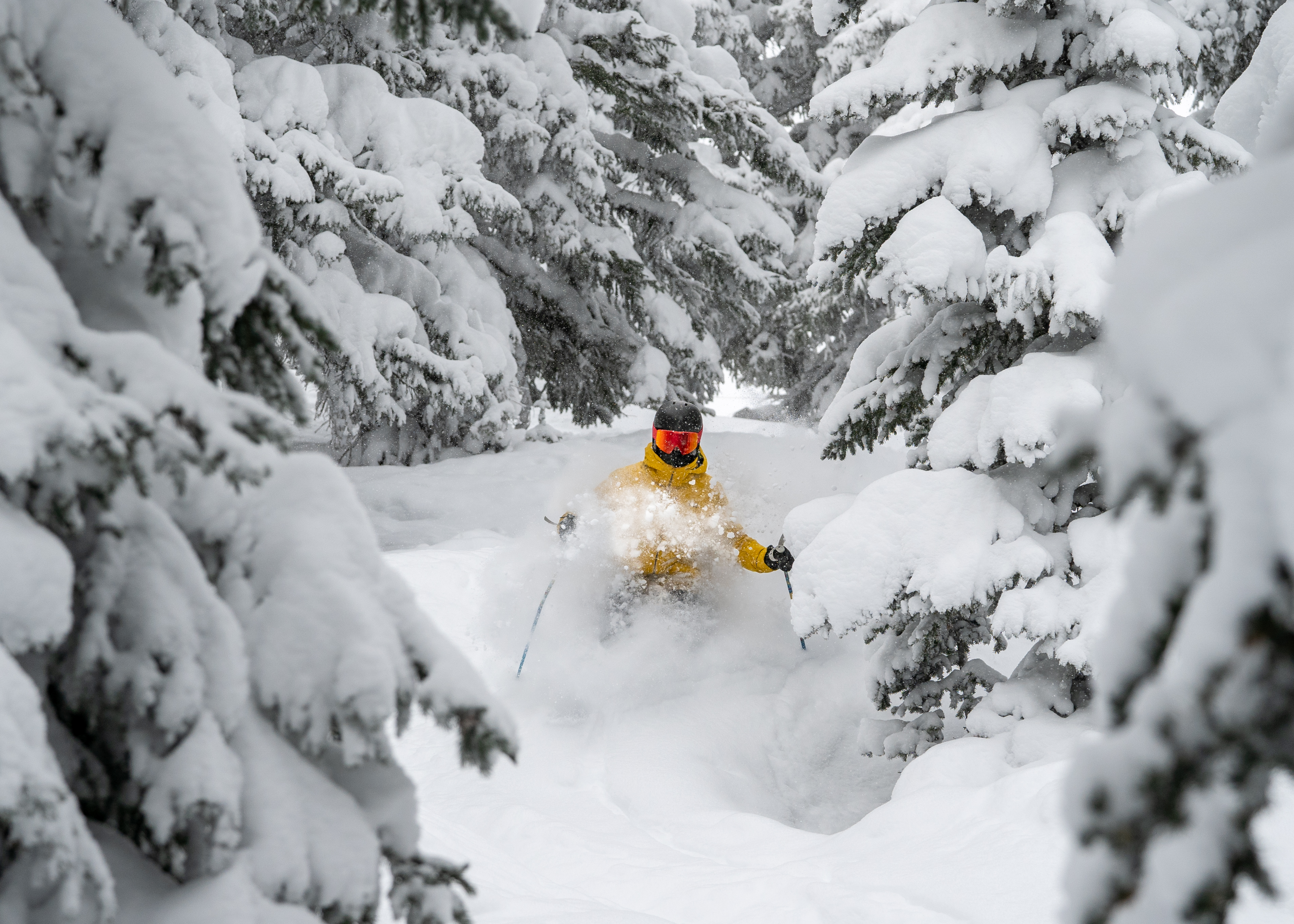 powder in northwoods